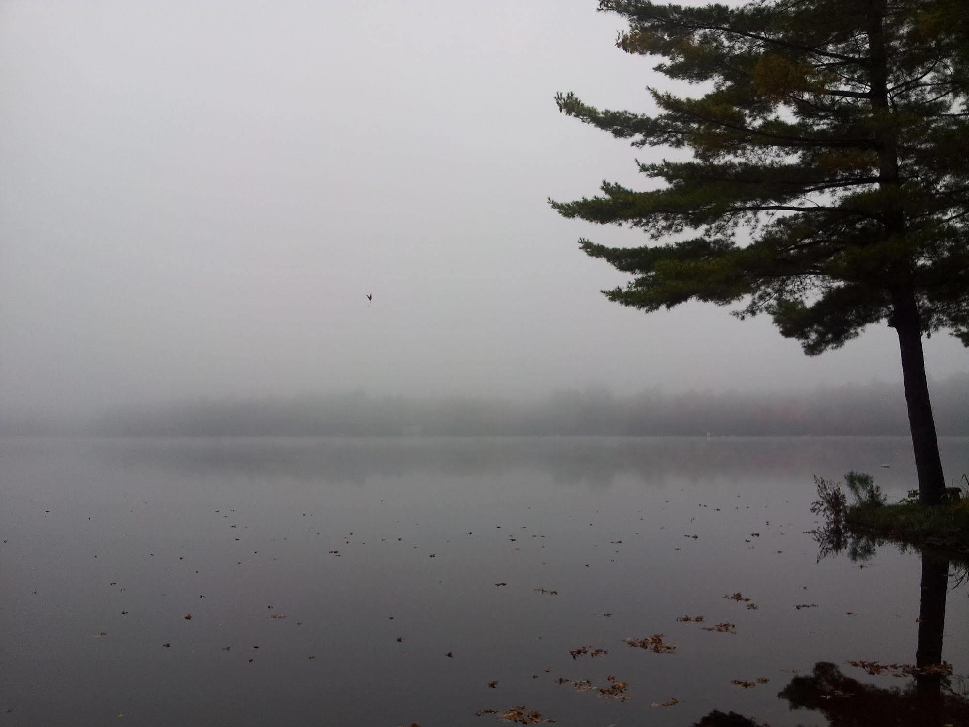 Black Lake Cabins Torrance Exteriér fotografie