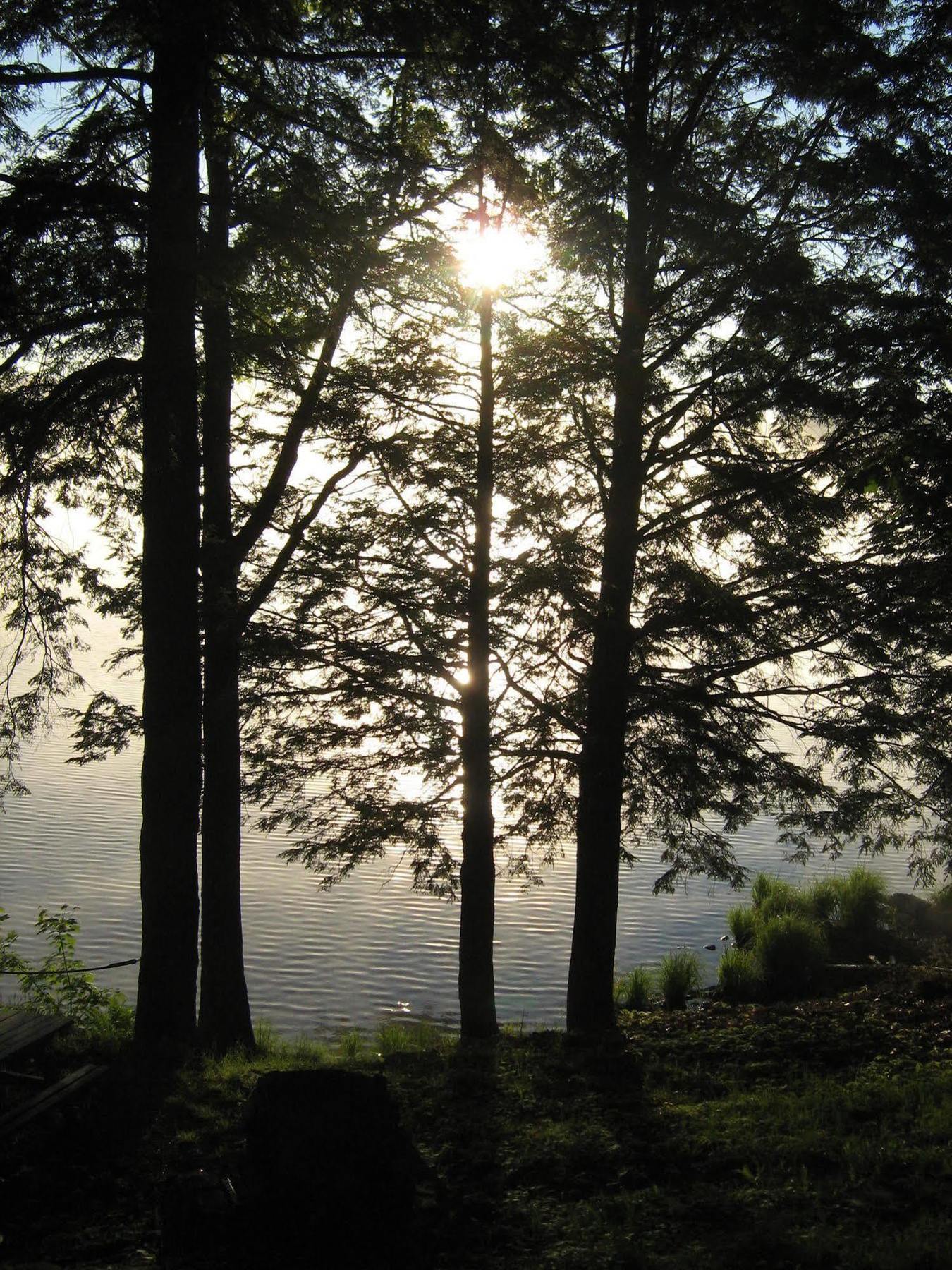 Black Lake Cabins Torrance Exteriér fotografie